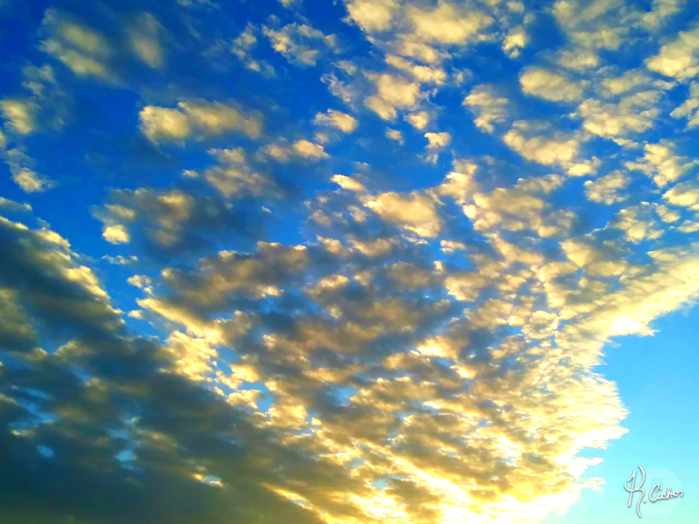 ALTOCUMULUS