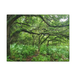 Woodland Trail Canvas Print