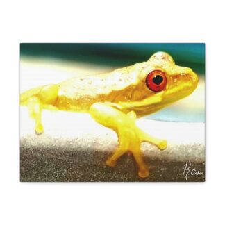 Ribbit Canvas Print