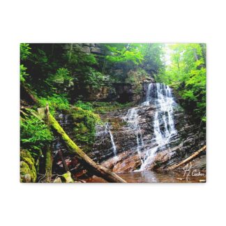 Nature's Symphony Canvas Print